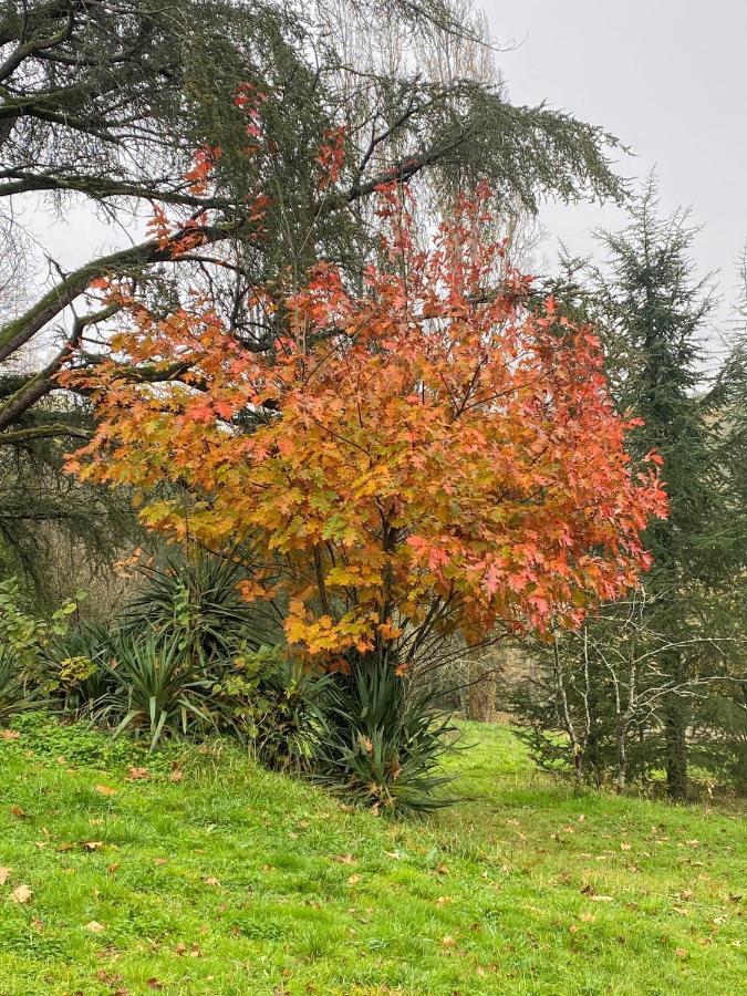 Domaine le Manoir, gîtes de charme et de caractère avec piscines privatisées Fossemagne Extérieur photo