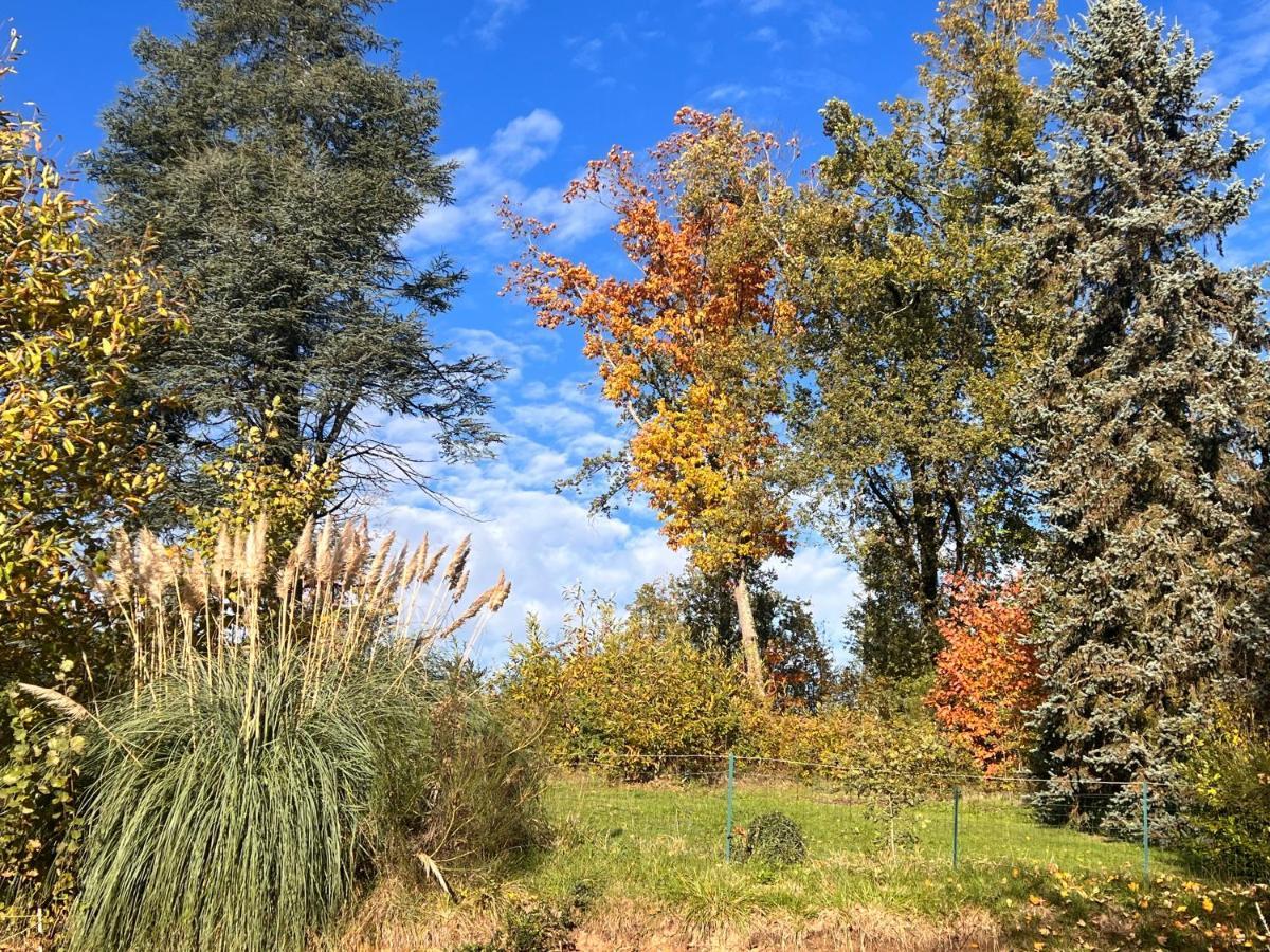 Domaine le Manoir, gîtes de charme et de caractère avec piscines privatisées Fossemagne Extérieur photo